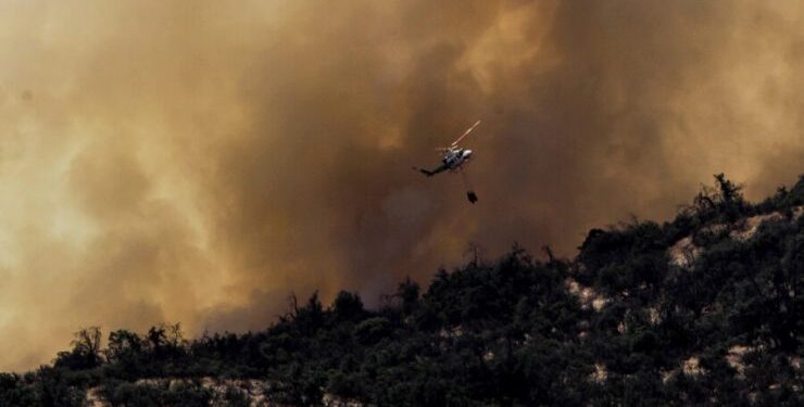 Incendio forestal en Coyhaique deja al menos 40 hectáreas consumidas: declaran alerta amarilla