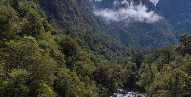 Valle Cochamó ya es oficialmente un santuario de la naturaleza