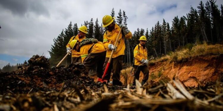 Servicio de Salud Osorno entrega recomendaciones por incendios forestales y altas temperaturas