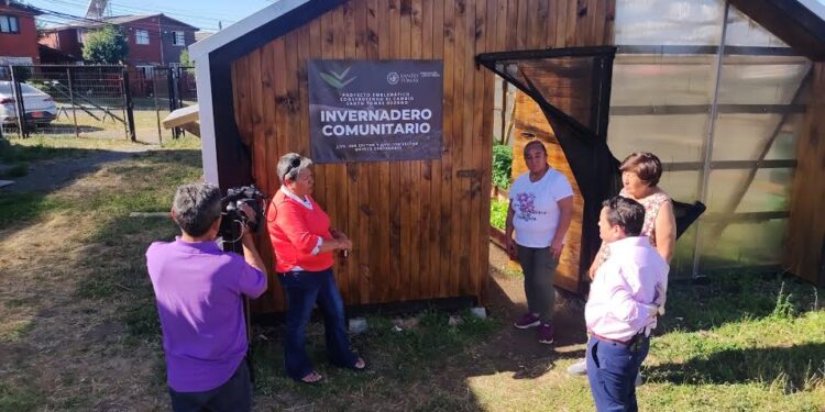 Proyecto Huertos Comunitarios de Santo Tomás Osorno comenzó a funcionar 