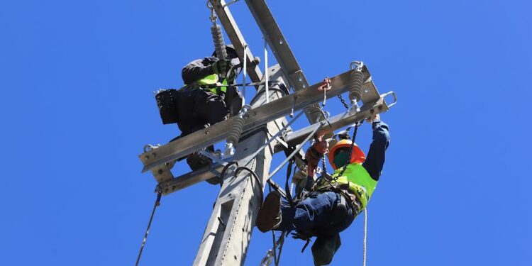 Vecinos de Río Negro y Osorno tendrán mejoramiento de redes eléctricas este miércoles y jueves