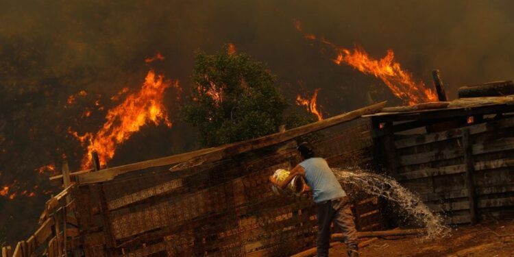 Presidente Boric confirma 46 muertos por incendios forestales en Valparaíso