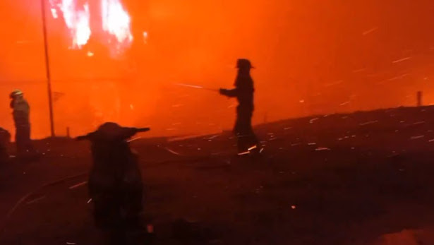 Delegada de Osorno informa que incendio forestal en San Pablo afectó cerca de 600 hectáreas