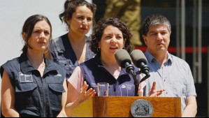Este lunes se constituirá el Comité de Reconstrucción por incendios forestales en Valparaíso