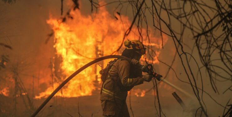 Servicio Médico Legal confirma 99 muertos por incendios forestales en Valparaíso