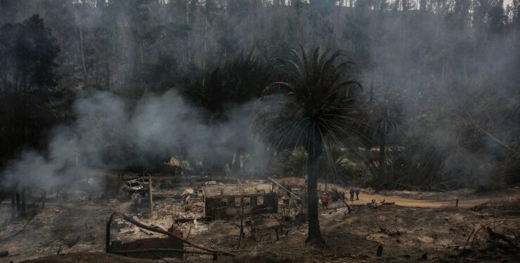 Quedaron en libertad: Fiscalía decide no formalizar a dos sospechosos de iniciar incendios en Viña del Mar