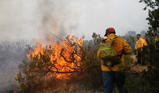Incendios forestales: Delegación de Osorno informó que sólo queda un foco en San Juan de la Costa