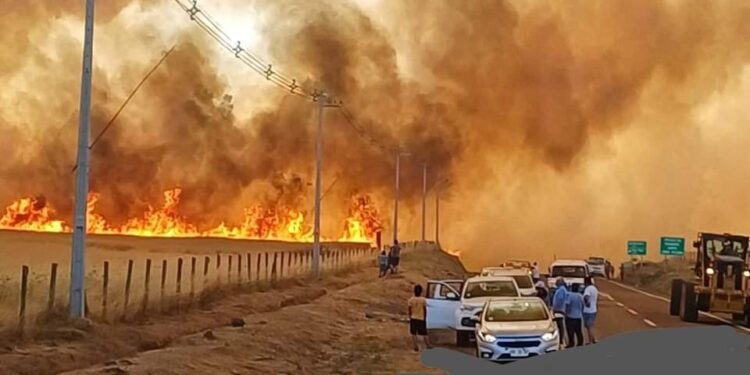 Declaran Alerta Roja en San Pablo por incendio forestal: piden evacuar 3 sectores