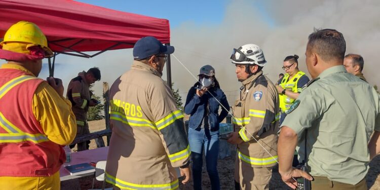 Informan que incendio forestal en sector Purrehuin Alto en San Pablo fue controlado