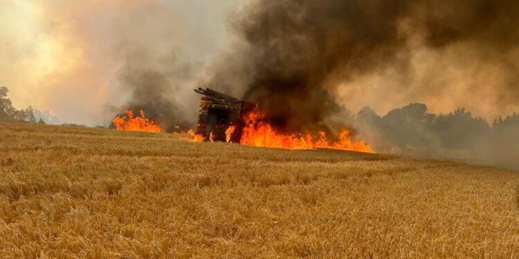 Cancelan Alerta Roja y declaran Alerta Amarilla en San Pablo por incendios forestales