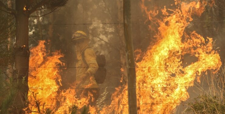 Decretan alerta roja en Valparaíso y Mulchén por incendios forestales
