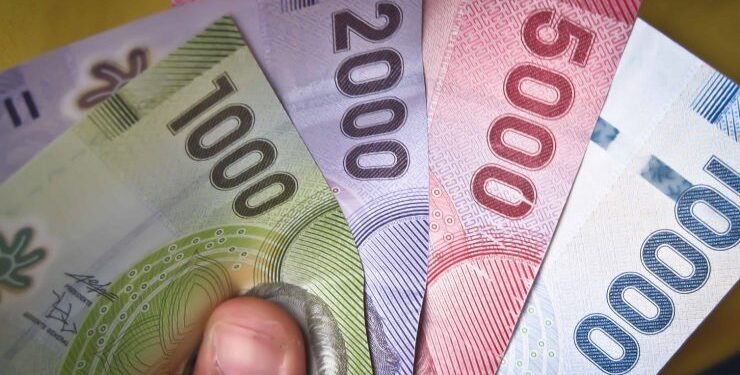 Desde el 1 de febrero comienza pago con nuevo reajuste a la PGU