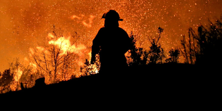 Origen de incendios forestales en Chile: 28% intencionalidad y 72% negligencia