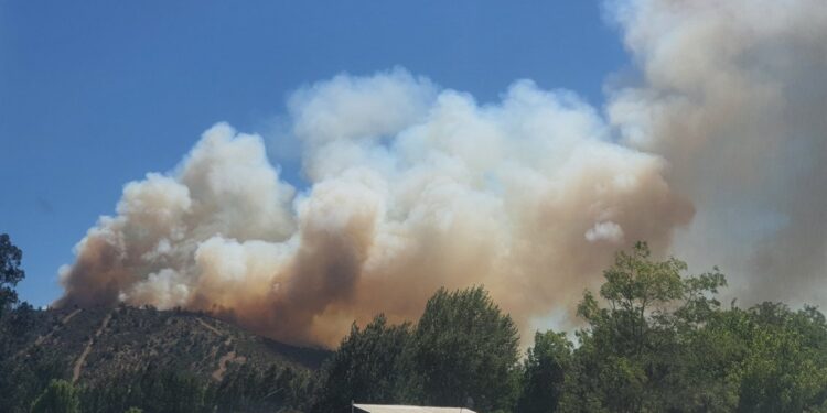 Senapred declaró alerta roja por incendios en Puerto Montt y Queilén