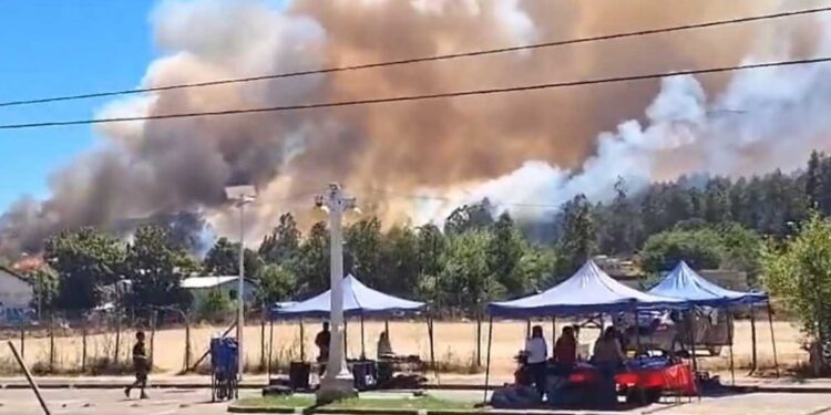 La Araucanía: Cinco comunas están en alerta roja por incendios forestales activos