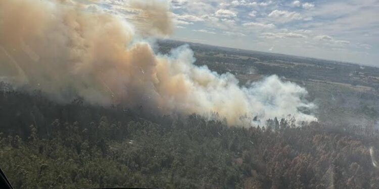 Sobre 5 mil millones de pesos destinó Conaf en combate de incendios en la región