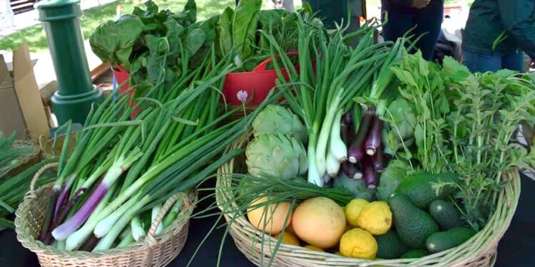SAG promueve el consumo de productos orgánicos entre estudiantes