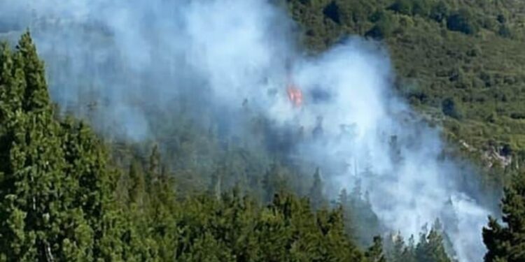 Chaitén en alerta roja por incendio forestal próximo al Parque Nacional Pumalín