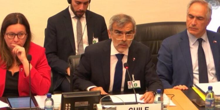 Examen ante la ONU: Chile ratificó «voluntad de saldar deudas históricas» de DDHH