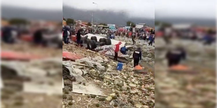 Saquean camión con paltas mientras conductor fallecido aún estaba en el vehículo
