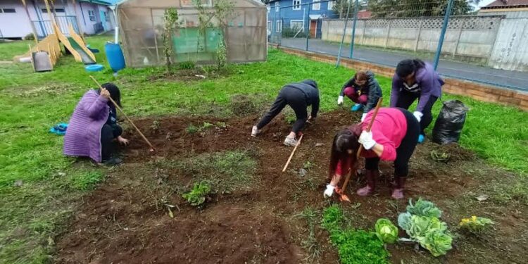 Diversas acciones solidarias realizan estudiantes de Santo Tomás por mechoneo
