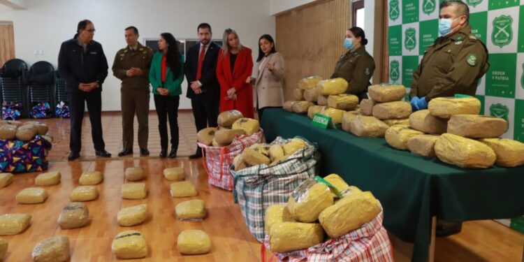 Carabineros incauta en Osorno 248 kilos de marihuana: es el decomiso de droga más grande de la región