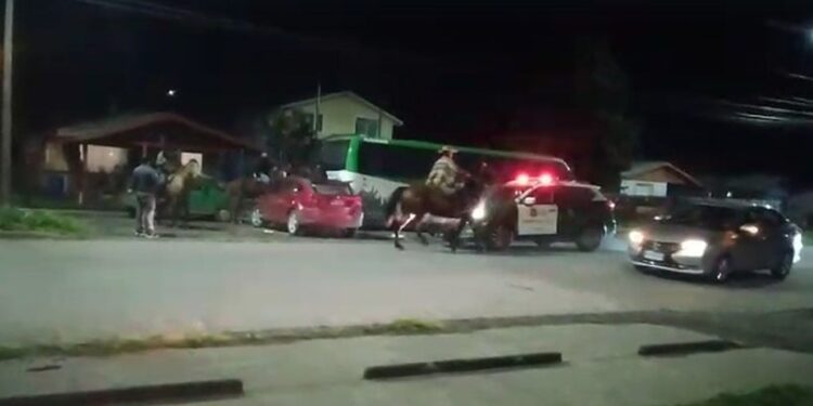 Cuatro detenidos y un caballo herido dejó riña en Puyehue