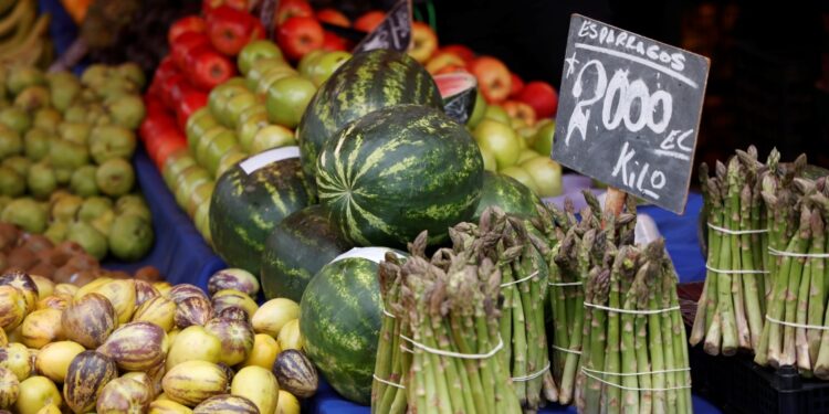 Valor de la canasta básica de alimentos tuvo su mayor caída en 10 años