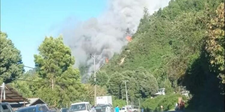 Senapred declara Alerta Roja por incendio forestal en Valdivia