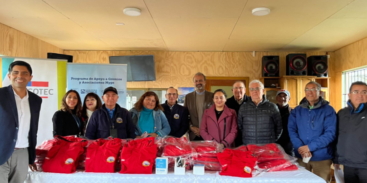 Taxis de Osorno mejoran sus servicios y la seguridad de sus vehículos con recursos del GORE