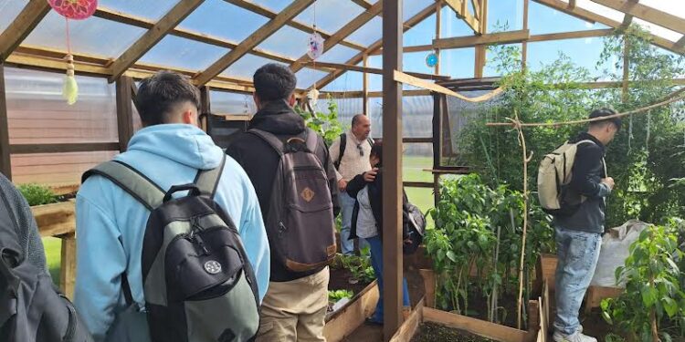 Proyectos Huertos Comunitarios de Santo Tomás Osorno avanza a su segunda etapa