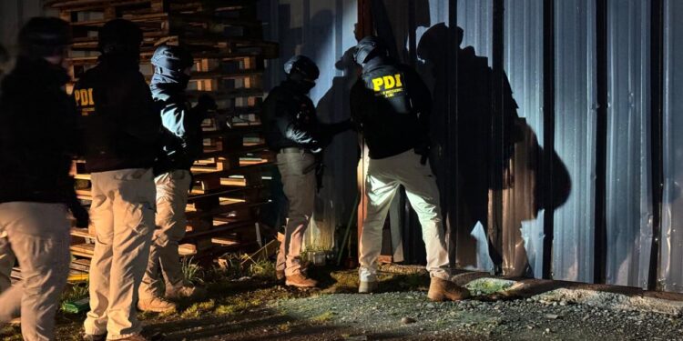 PDI desbarata banda criminal dedicada a la extracción ilegal y venta del loco