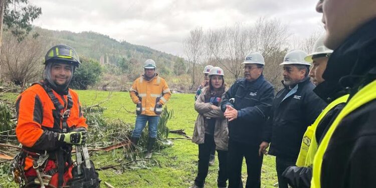 Saesa informa medidas para invierno y asegura un servicio continuo en provincia de Osorno