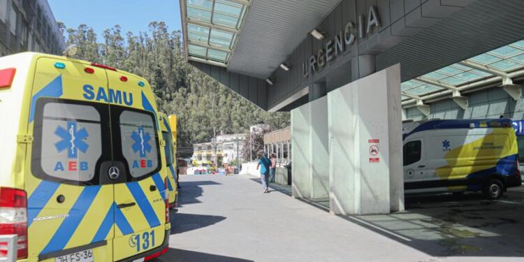 “Bacteria asesina” estaría asociada a las muertes por influenza en Ñuble