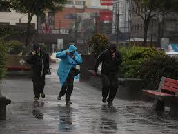 Anuncian vientos de intensidad en región de Los Lagos desde este martes