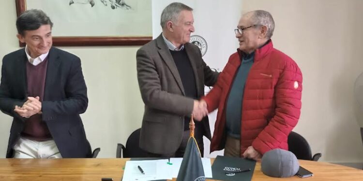 Santo Tomás Osorno y UCAM firman convenio de colaboración