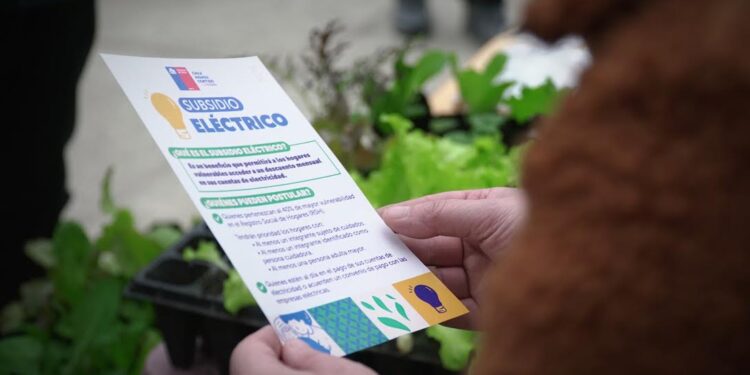 Cerca de 100 mil personas postularon al Subsidio Eléctrico en la región de Los Lagos