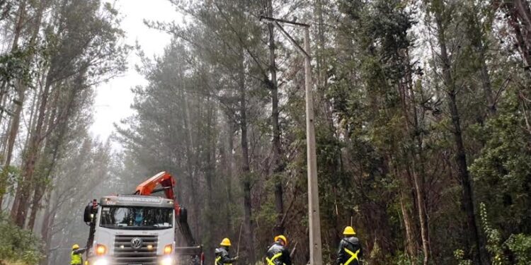 Saesa activó plan de contingencia por anuncio de lluvias y vientos en la zona