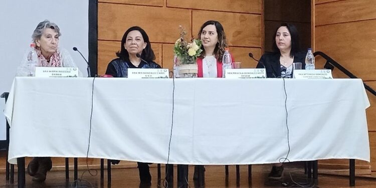 ULagos es anfitriona en nuevo foro municipal que elabora el Plan Estratégico de Salud