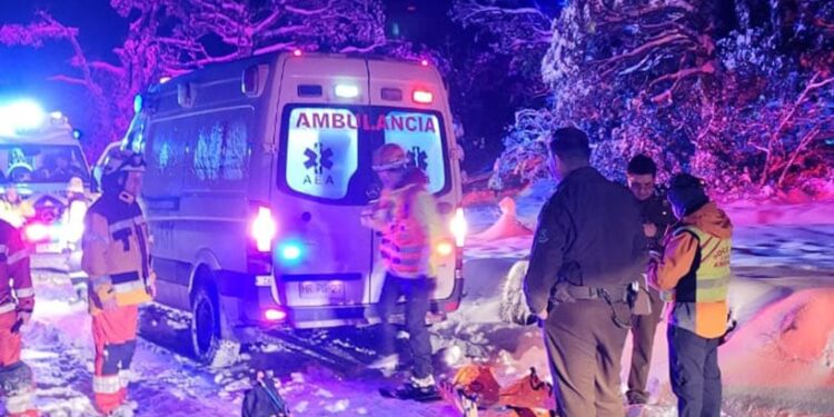 Rescatan con vida a tres personas que estaban extraviadas en sector La Picada de Puerto Octay
