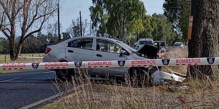 Joven de 22 años falleció tras impactar su vehículo contra árbol en Puyehue