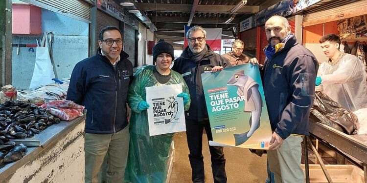 Sernapesca Los Lagos inició campaña por vedas de agosto: merluza austral, cojinoba del norte y camarón nailon