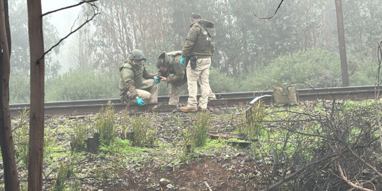 Sabotaje a línea férrea en Ercilla: Grupo dejó lienzo con mensaje a la ministra Tohá