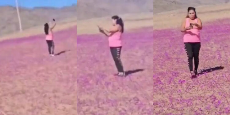 «¿Y a mí qué?»: Mujer causa indignación al pisar flores en el Parque Nacional Desierto Florido