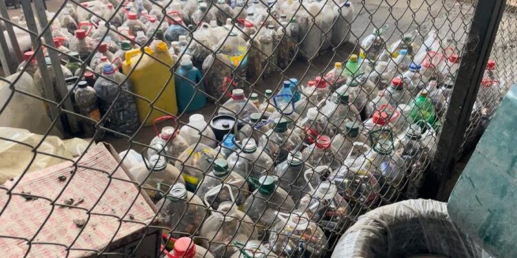 Saesa retira más de una tonelada de pilas en desuso de Osorno