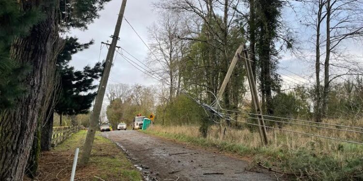 Informan recuperación en un 95% del suministro eléctrico en provincia de Osorno