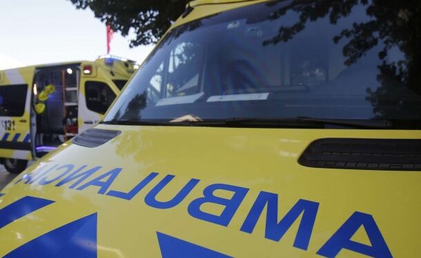 Una persona fallece en Lago Ranco por el sistema frontal debido a la caída de un árbol