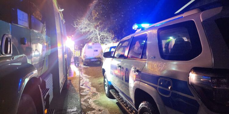 Osorno: Hombre falleció luego de ser impactado por un árbol en sector Pichil