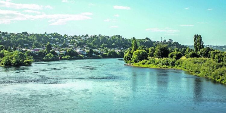 Finaliza estudio de ríos Rahue y Damas y se inicia construcción de norma para protegerlos