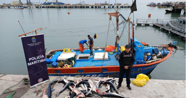 Armada detecta a embarcación extranjera pescando en aguas chilenas: Se encontró 10 tiburones azulejos y cuatro aletas